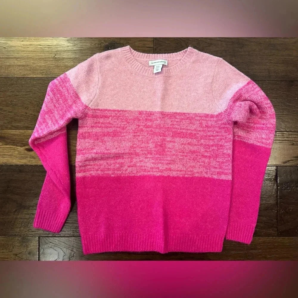Cupcakes and Cashmere Pink Ombré Sweater- size X- Small